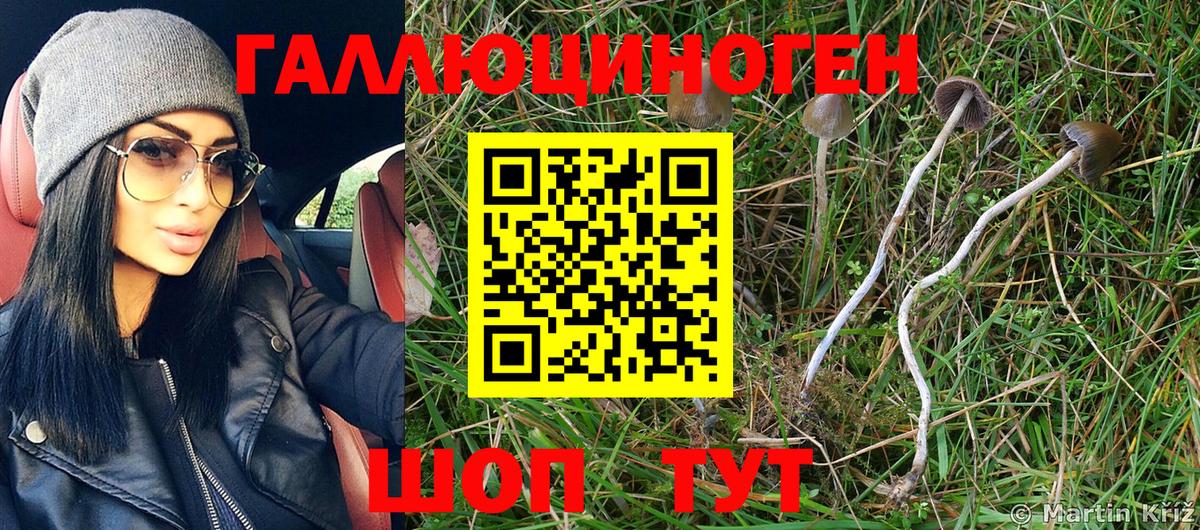 Гашиш  A PVP СОЛЬ кристаллы  Каннабис  АМФЕТАМИН   Мефедрон кристаллы  Джанкой  Cocaine  Вход с VPN 