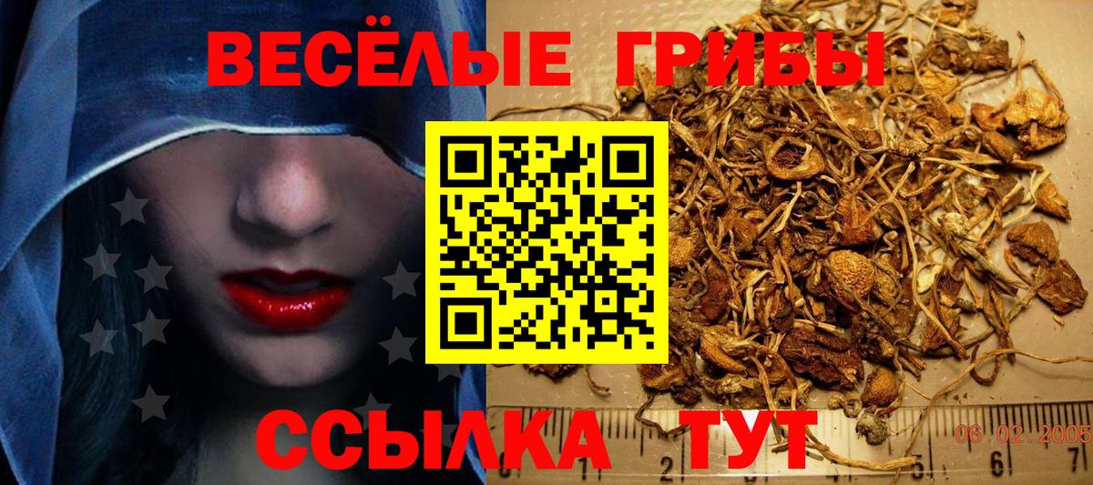 Псилоцибиновые грибы GOLDEN TEACHER Джанкой